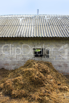 heap of the dung besides the shed