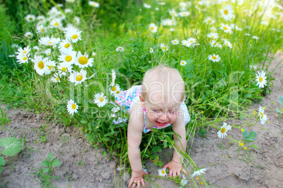 baby falls down in flower-bed of white beautiful chamomiles
