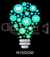 Wisdom Lightbulb Indicates Educational Graduation And Intellect