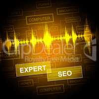 Expert Seo Indicates Search Engine And Sem