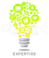 Expertise Lightbulb Indicates Proficient Skills And Experience