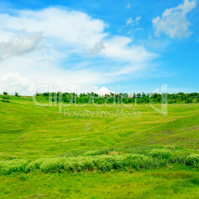 hills, green grass and blue cloudy sky