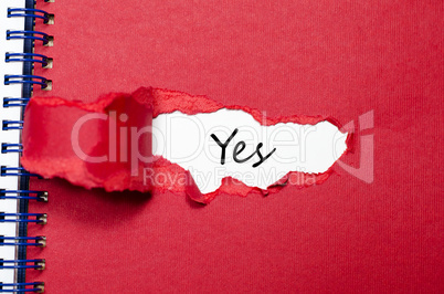 The word yes appearing behind torn paper