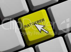 Ratgeber online
