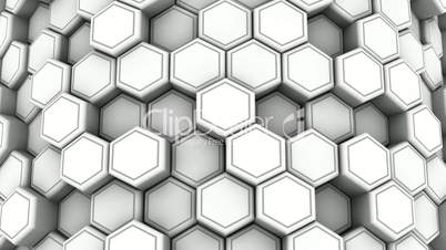 Animated White Honeycombs