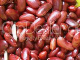 Kidney beans legumes vegetables