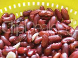 Kidney beans legumes vegetables