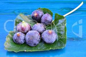 Blue figs on mulberry leaf