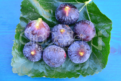 Blue figs from above