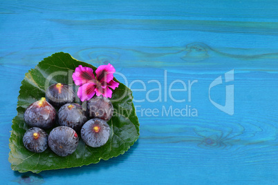 Blue figs over background with copy space