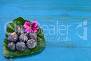 Blue figs over background with copy space
