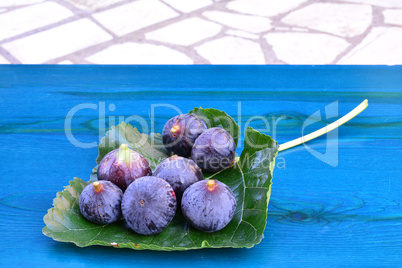 Blue figs, side view