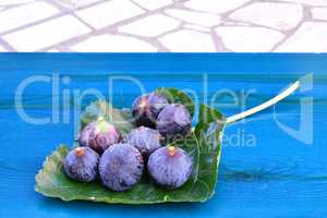 Blue figs, side view