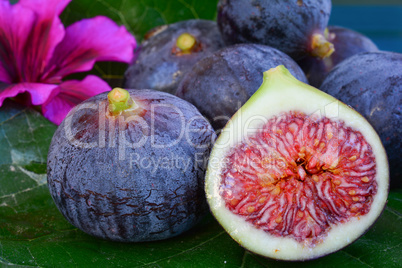 Blue figs close up, cross section