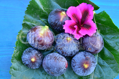 Blue figs from above, close up view