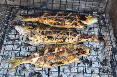 Sea fish on a grill