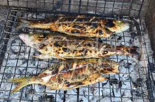 Sea fish on a grill