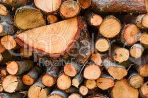 Pile of firewood