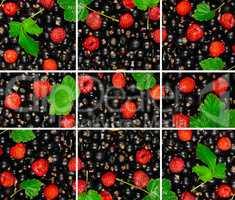 bright background of the berries of black currant, raspberry and