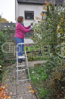 Frau bei der Gartenarbeit