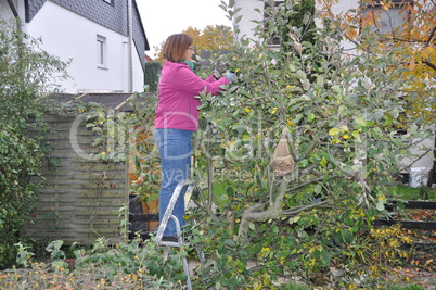 Frau bei der Gartenarbeit