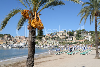 Strand in Port de Soller, Mallorca