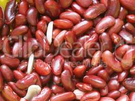 Kidney beans legumes vegetables