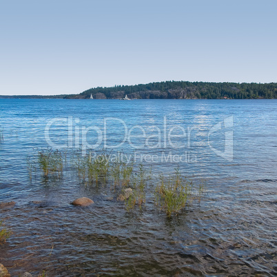 Lake in Stockholm