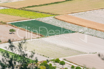 Landwirtschaftliche Flächen auf Mallorca, Spanien      Agricult