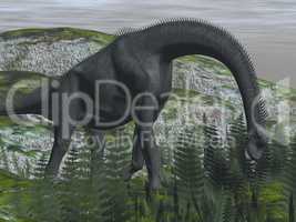 Brachiosaurus dinosaur eating fern - 3D render