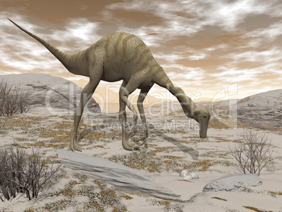 Gallimimus dinosaur - 3D render