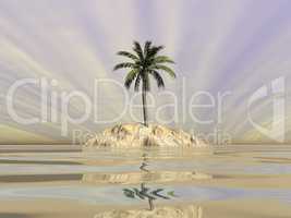 Palm tree on an island in middle of the ocean - 3D render