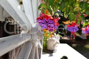 Gartenhütte im Sommer mit vielen Blumen