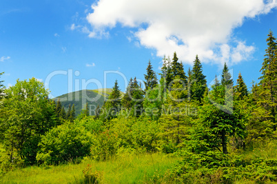 scenic mountains, meadows and blue sky