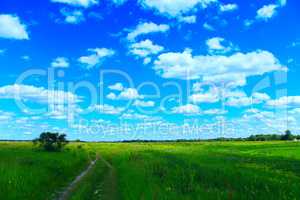 Country road in the summer field with white clouds