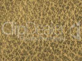 Brown fabric background sepia