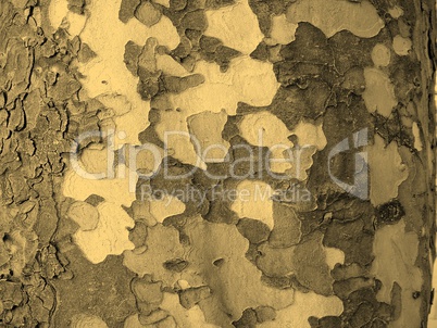 Tree bark sepia