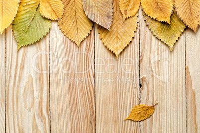 Autumn background. Leaves border on wood