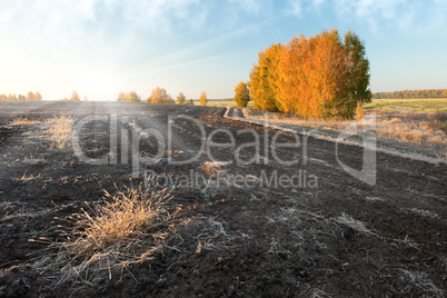 Autumn rural landscape with plowed field at morning mist