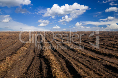 Farm field