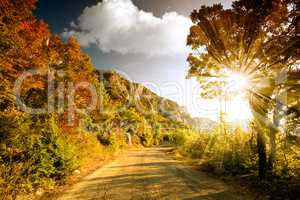 Mountain road at sunset