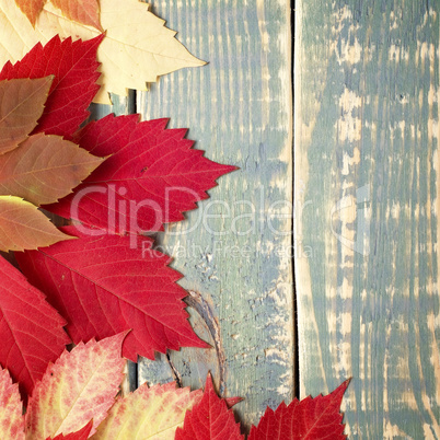 Autumn leaves on shabby vintage wood