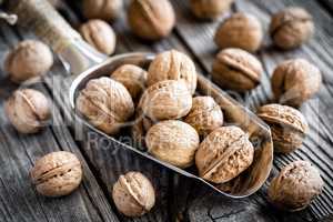 walnuts