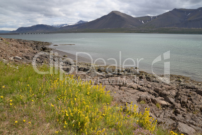 Brakarsund, Island