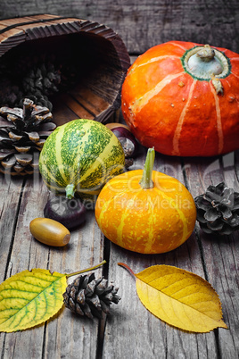 Three decorative pumpkins