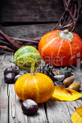 Three decorative pumpkins