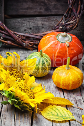 Three decorative pumpkins