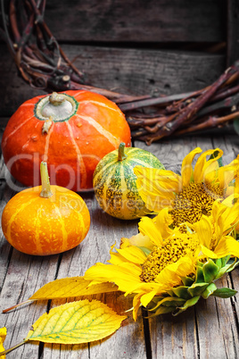 Three decorative pumpkins