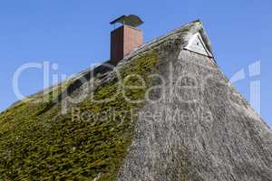 Reetdach eines alten Bauernhauses in Schleswig-Holstein