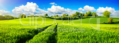 Ländliche Idylle, Panorama mit weiten grünen Wiesen und blauem